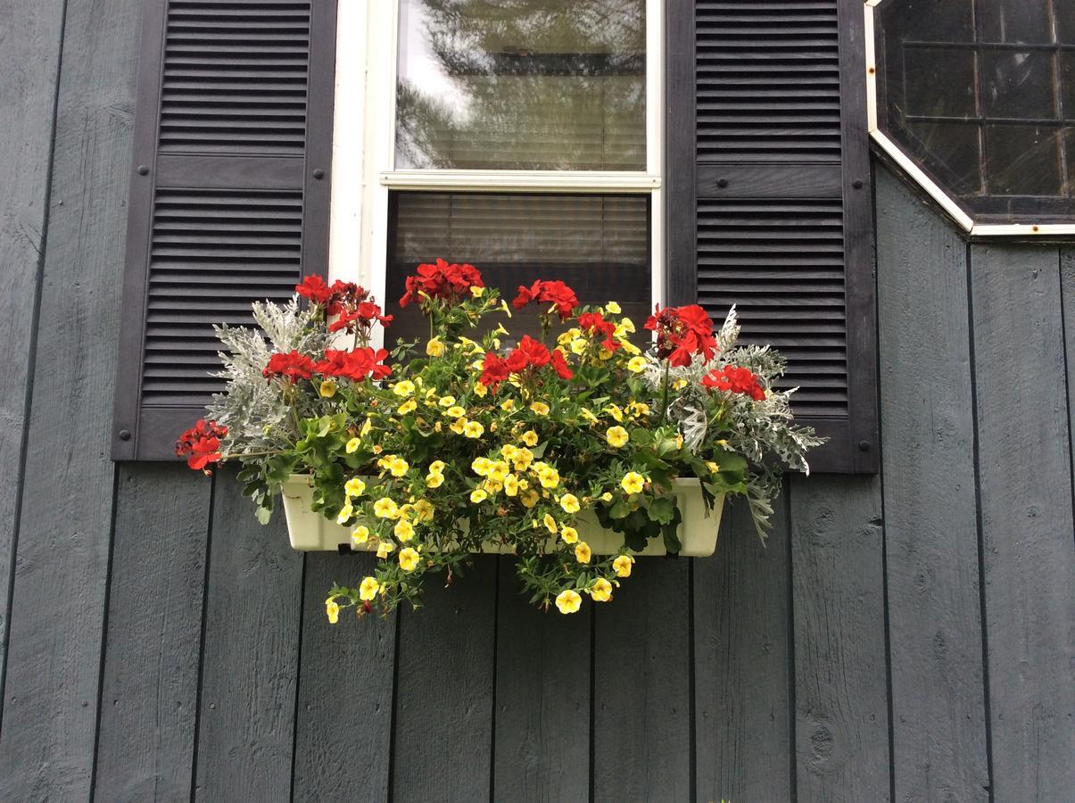 Firefly Bed & Breakfast Lincoln Exterior foto