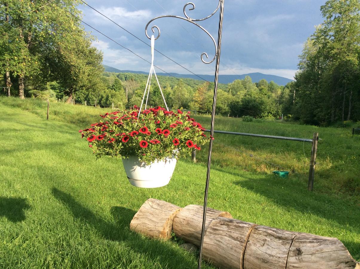 Firefly Bed & Breakfast Lincoln Exterior foto