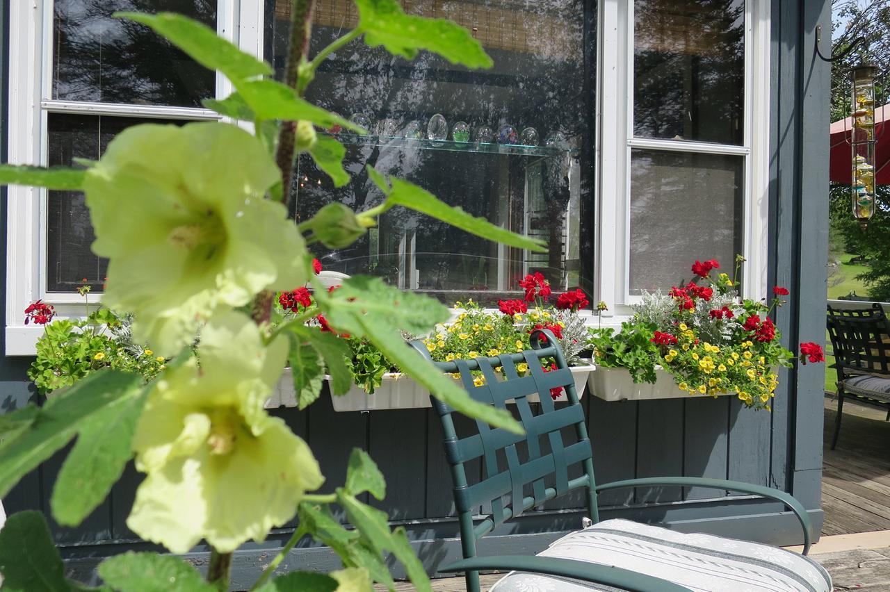 Firefly Bed & Breakfast Lincoln Exterior foto