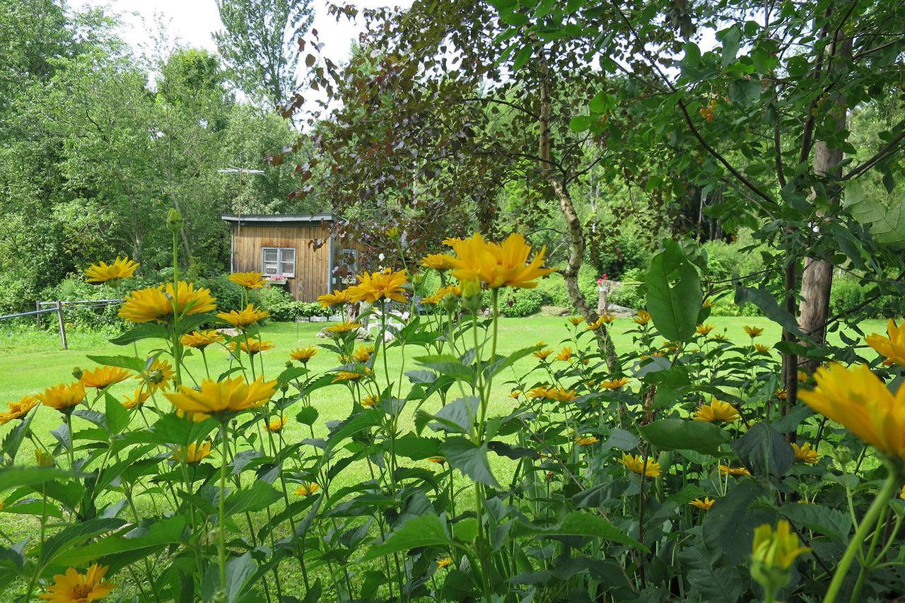 Firefly Bed & Breakfast Lincoln Exterior foto