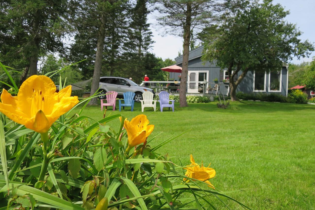 Firefly Bed & Breakfast Lincoln Exterior foto