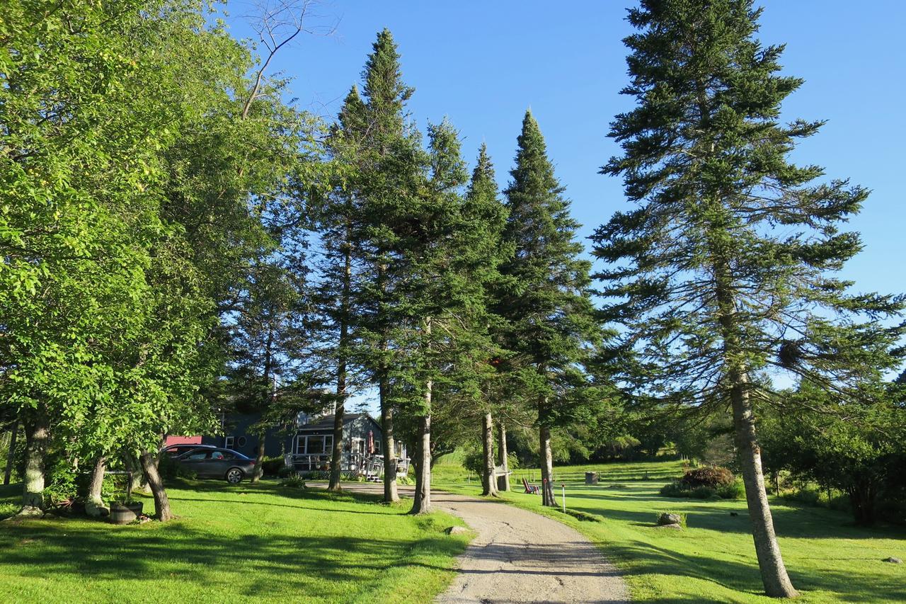 Firefly Bed & Breakfast Lincoln Exterior foto